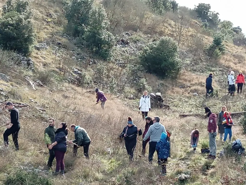 img 20231209 120615