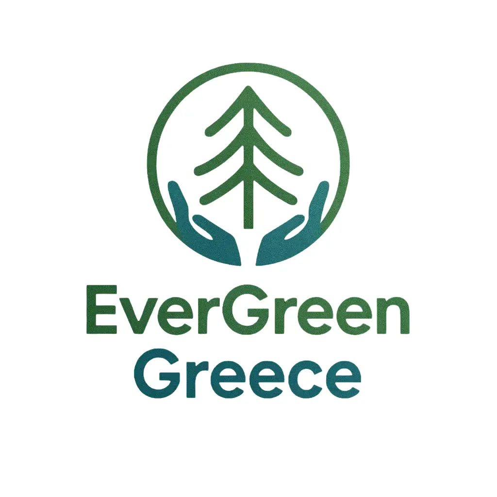 evergreen